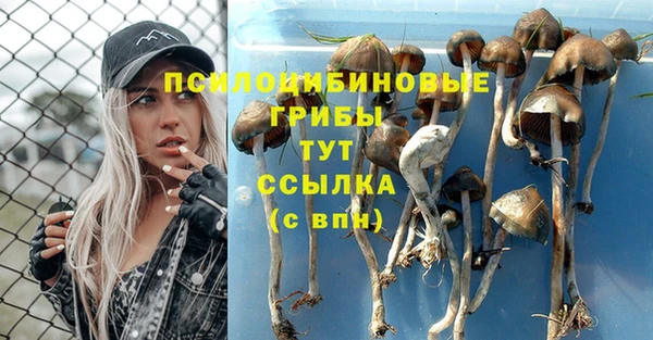 амф Вяземский