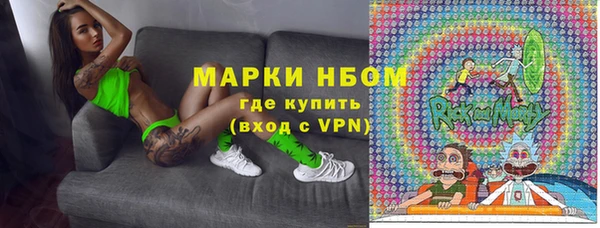 амф Вяземский